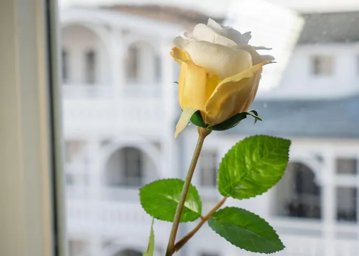 Groote 551 By Interhome